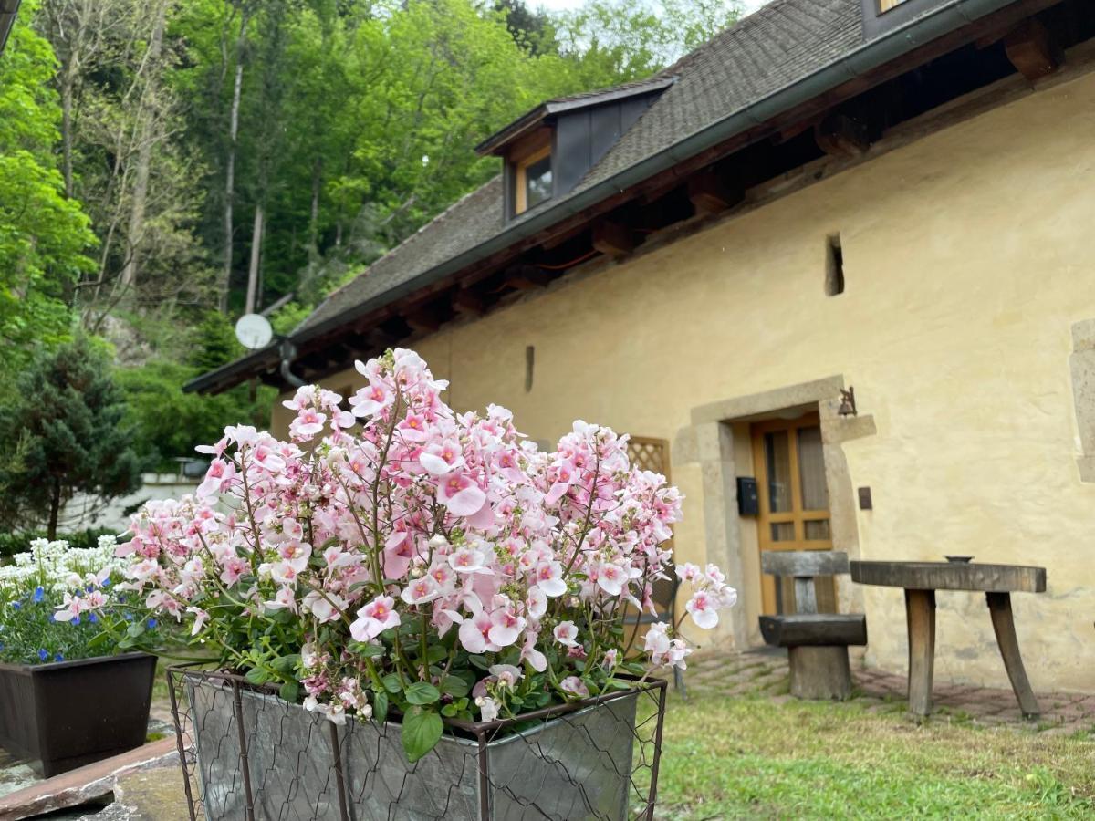 Guest house Muellers Klostermuehle Muenstertal
