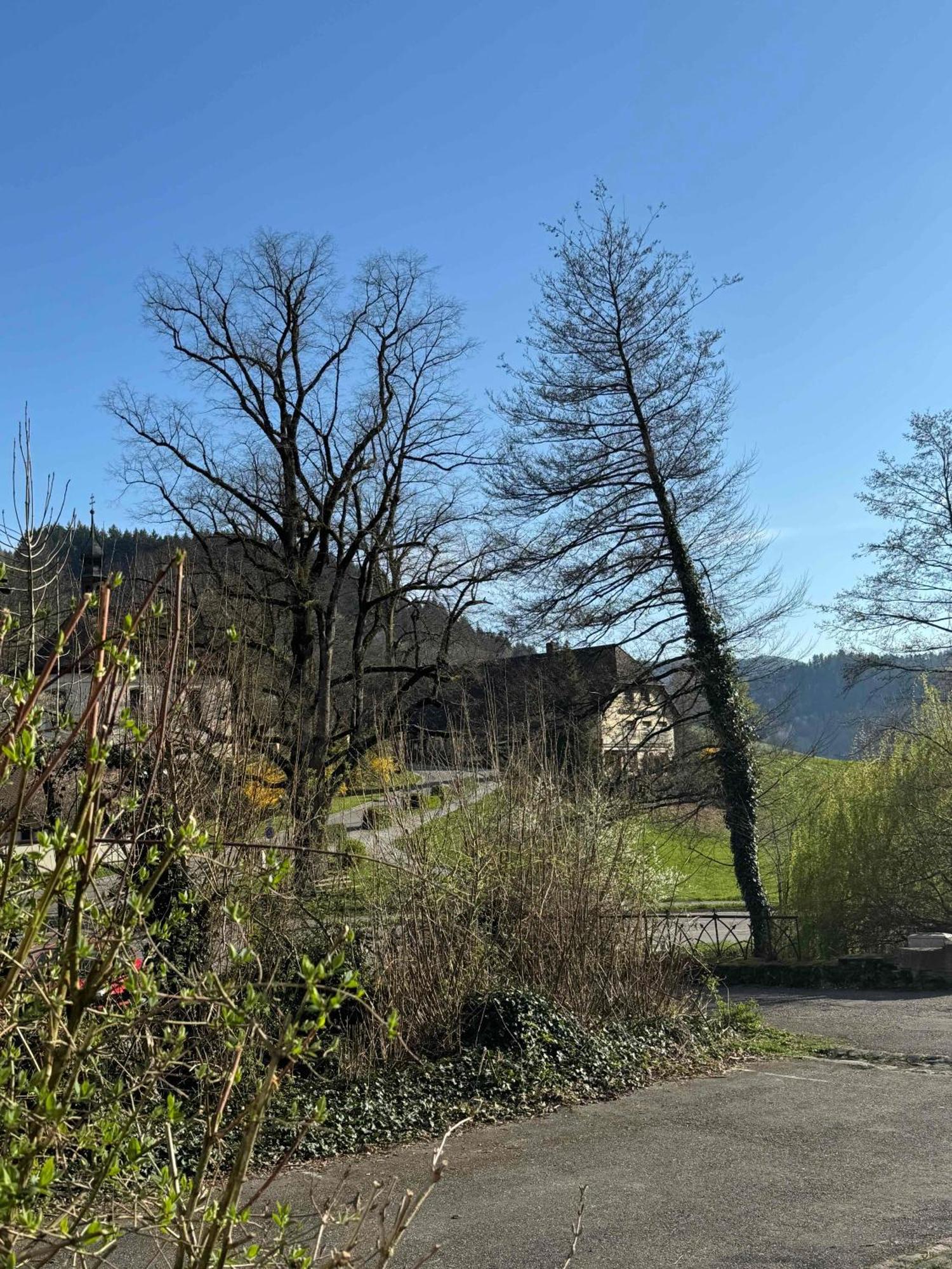 Guest house Muellers Klostermuehle 3*